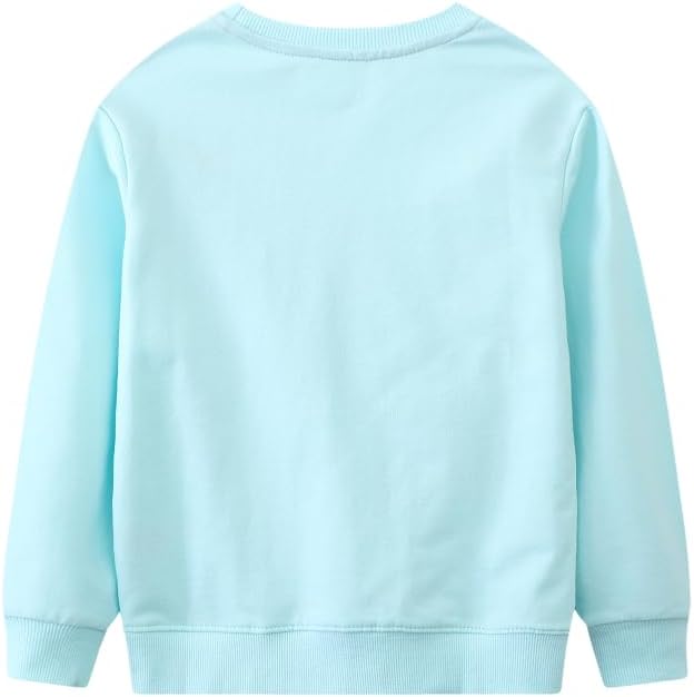 Toddler Baby Girls Cotton Sweater, Long Sleeve Crewneck Sweatshirt Pullover - Image 3