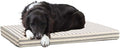 Barkbox Orthopedic Dog Bed | Comfortable Memory Foam Mattress by BARK