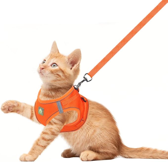 FEimaX Dog Harness and Leash Set, No Pull Breathable Soft Mesh Puppy Vest - Image 2