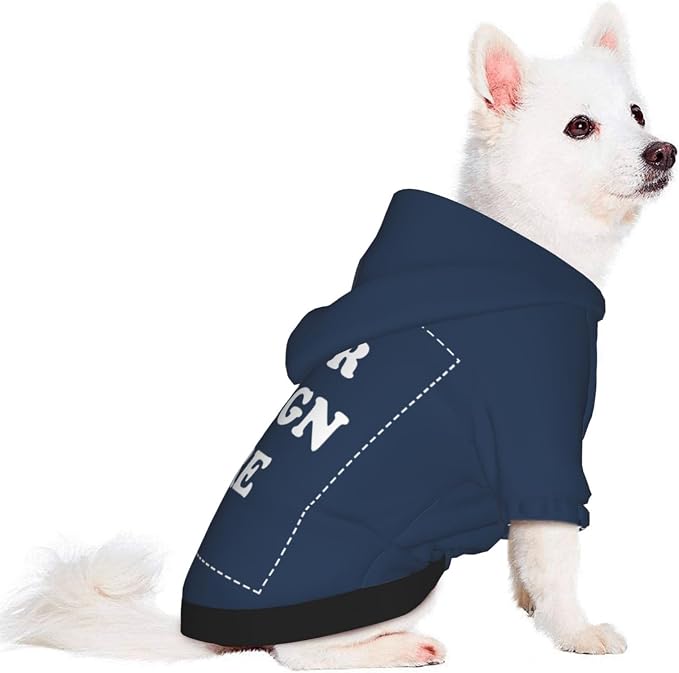 Dog Costume, Custom Dog Hoodie, Dog Name Costume Holiday Pet Pajamas Outfit - Image 2
