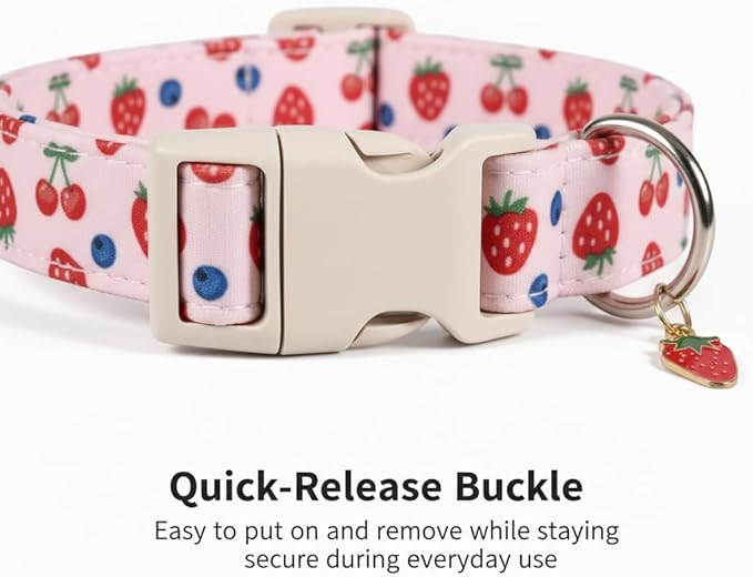 Girl Dog Collar, Cute Dog Collar - Image 4