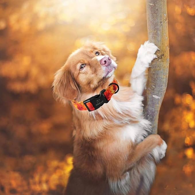 Fall Dog Collar, Soft Adjustable Cotton Holiday Dog Collars - Image 2