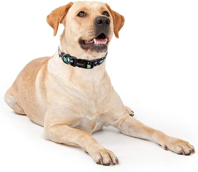 QQPETS Adjustable Soft Dog Collar: Print Flower Pink Multicolor Cute Patterns - Image 7
