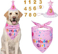 Dog Birthday Decorations, Dog Birthday Hat by Yicostar