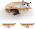 FUKUMARU Cat Wall Furniture Set, Transparent Capsule Kitten Walls Shelves by FUKUMARU