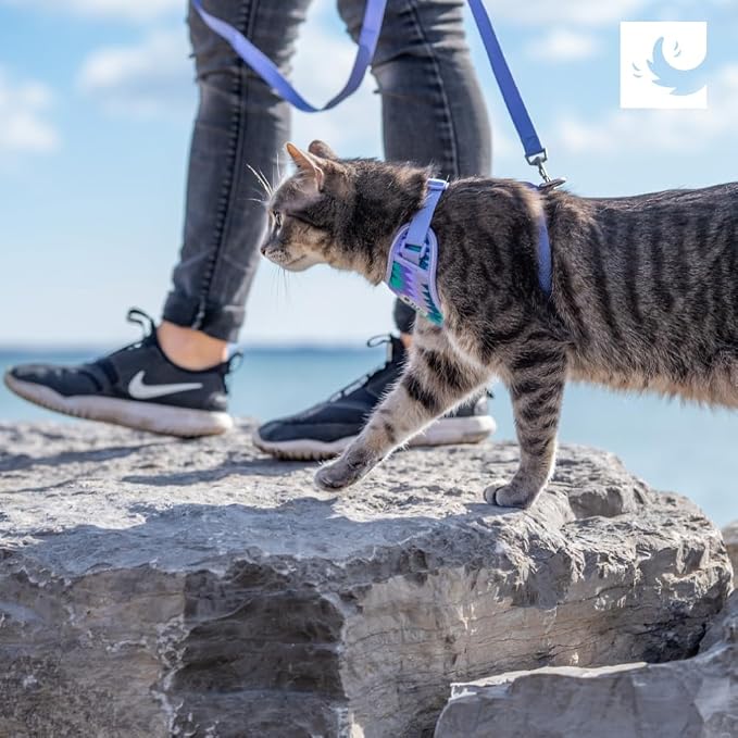 RC Pets Adventure Kitty Harness Includes Adjustable, Airmesh Fabric - Image 6