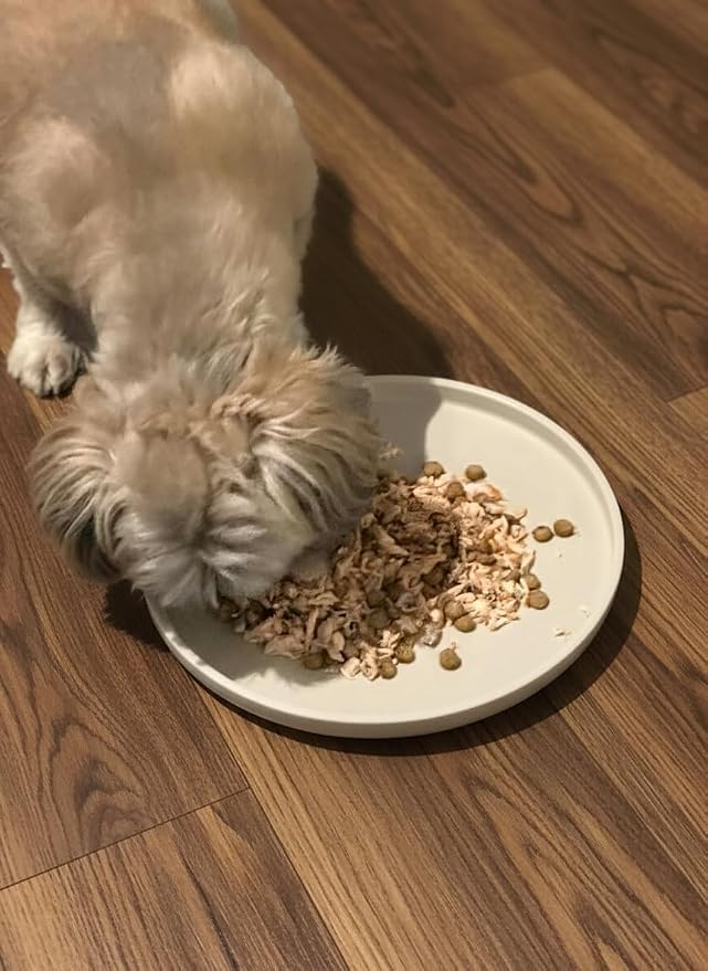 Arespark Dog Food Mat, Nonslip Waterproof Dog Silicone Feeding Bowl Mat - Image 3
