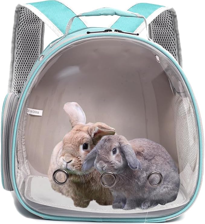 Guinea Pig Backpack Carrier, Bearded Dragon Carrier Backpack - Image 3