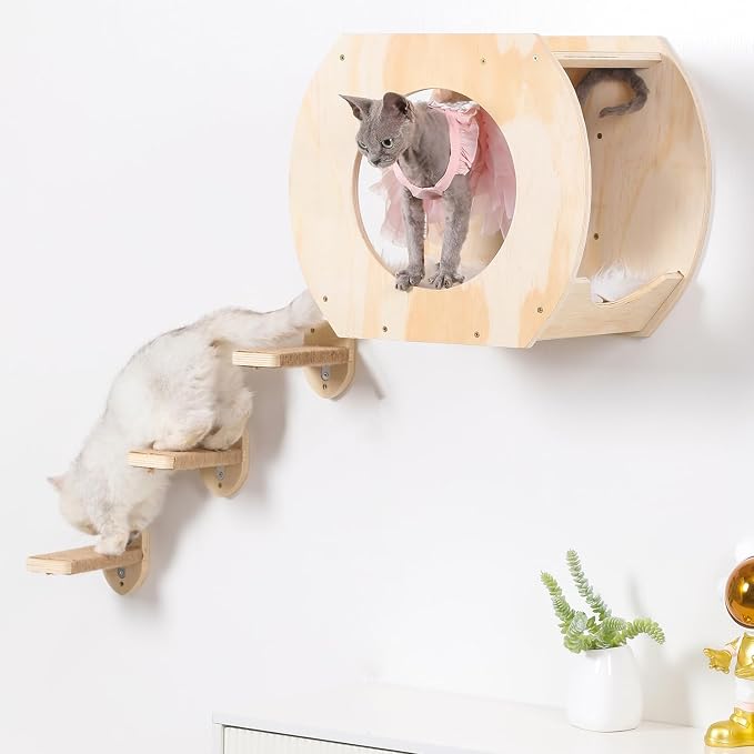Cat Shelves - 3 Steps, Wall Climbing Shelf - Image 9