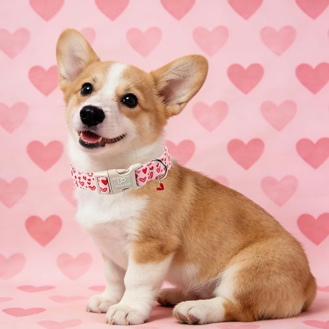Valentine's Dog Collar, UP URARA PUP Pink Heart in Red Adjustable Pet Collar - Image 6