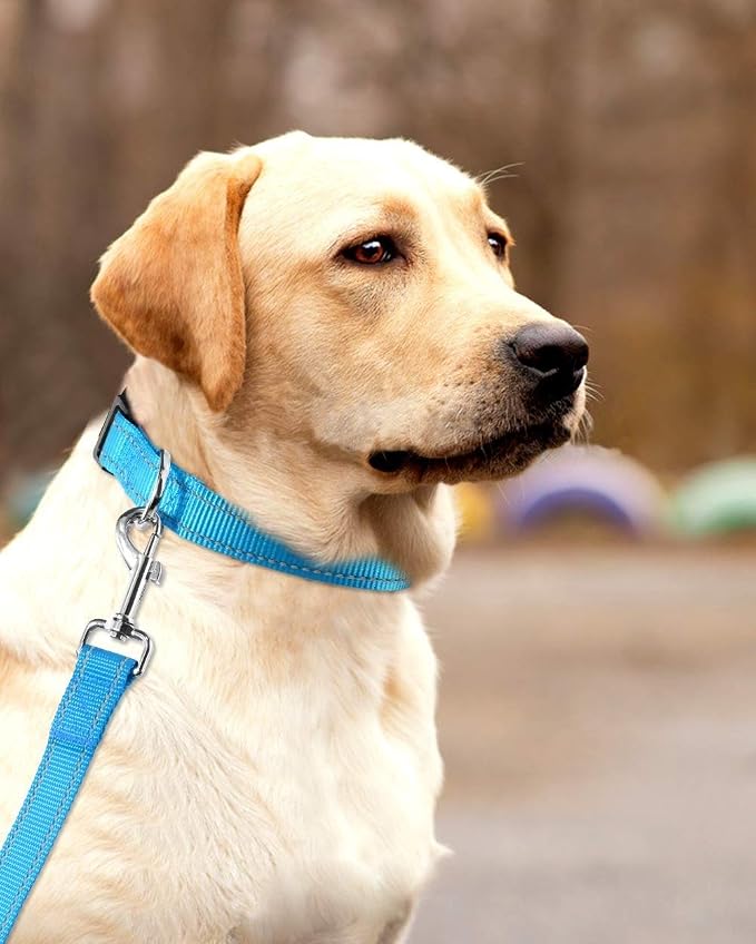Reflective Dog Collar with Buckle Adjustable Safety Nylon Collars - Image 7