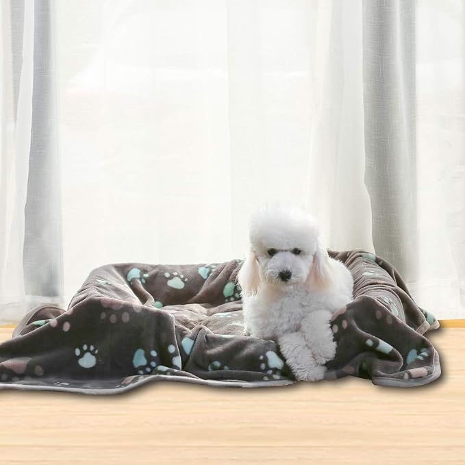Allisandro 350 GSM-Super Soft and Premium Flannel Fleece Pet Dog Blanket - Image 6