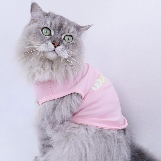 Custom Dog Shirt, Personalized Pet Apparel - Image 3