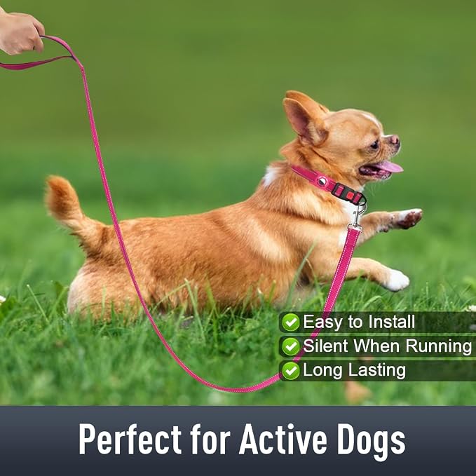 Airtag Dog Collar with AirTag Holder - Image 3
