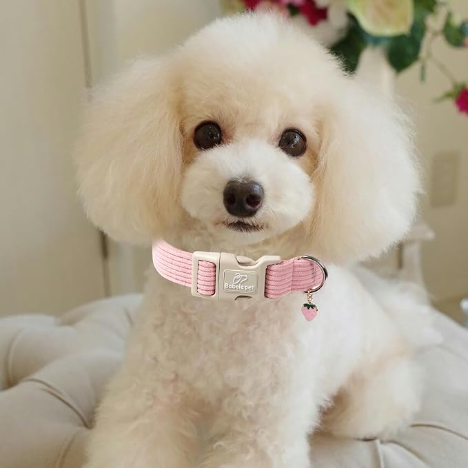 Cute Corduroy Dog Collar - Image 5
