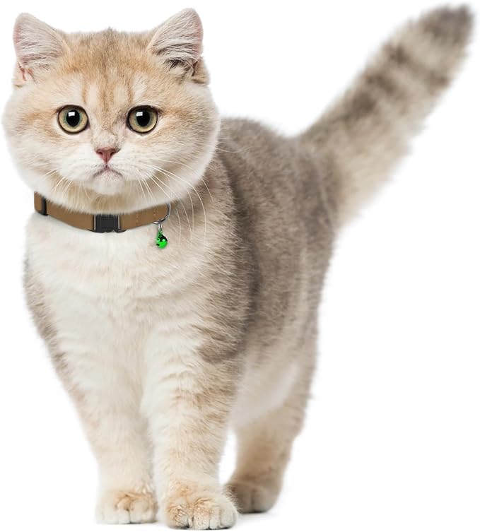 Breakaway Cat Collar Leather - Image 9