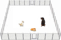 Dog Playpen, 32/40/45 Inch Height in Heavy Duty, Folding Indoor Outdoor by BestForYourPets