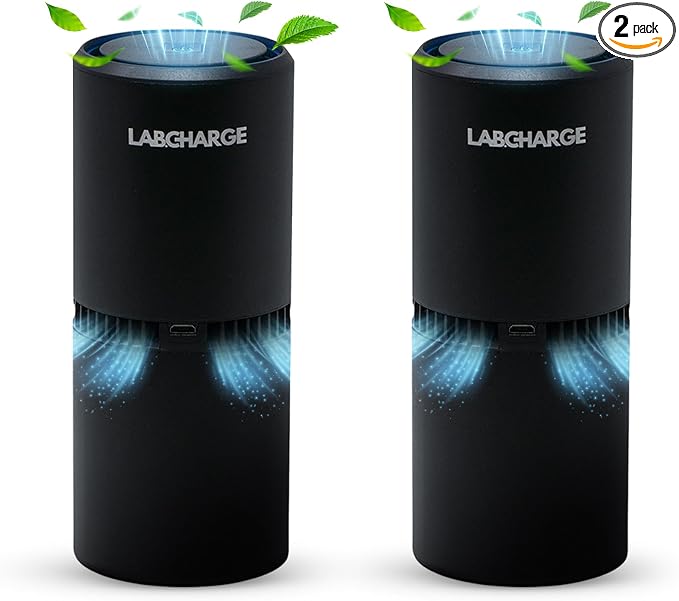 LabCharge Small Ionic Air Purifier by LabCharge