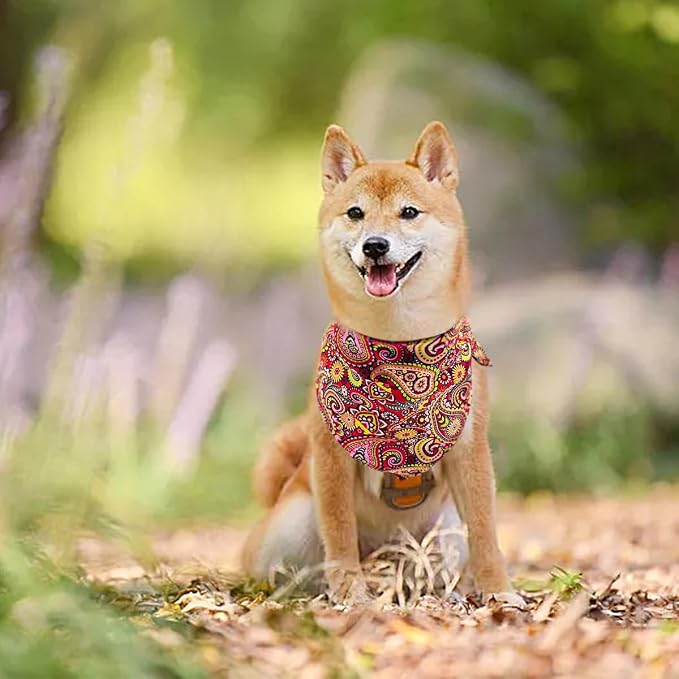 30 Pcs Paisley Bandanas for Dog Polyester Print One Side Bandana Bulk for Small - Image 5