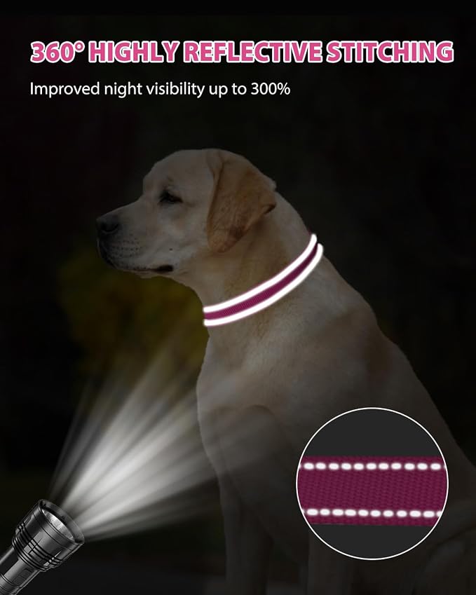 Joytale Reflective Dog Collar, Adjustable Nylon Pet Collar - Image 5
