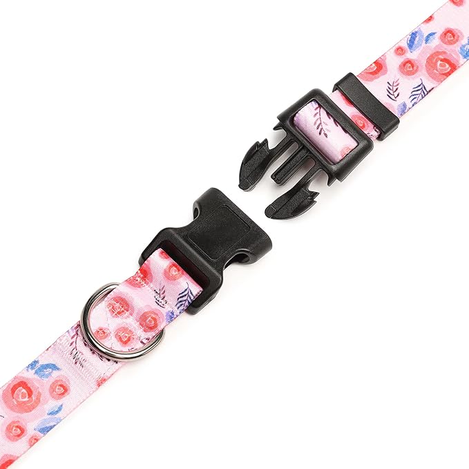 Mercano Adjustable Dog Collar - Image 5