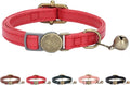 THAIN Leather Cat Collar with Bell Breakaway- Adjustable, Retro Bell fit Most by THAIN