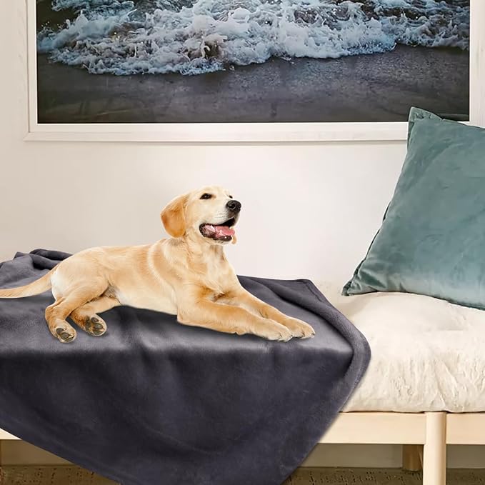 Onarway Dog Blanket Washable for Puppy: 4 Packs Dog Blankets 40”x28” - Image 7