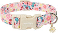 Dog Collar for Medium Dogs, Spring Pink Dog Collars by Unknown