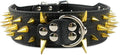 Serijoars Spiked Studded Dog Collar, PU Leather Dog Collar, Adjustable Pet by Serijoars