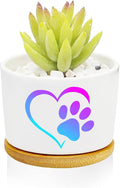 Love Dog Claw Planter Pots, Dog Loves Gifts by Databa