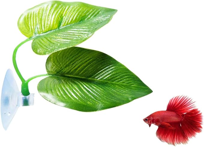 CousDUoBe 1 Pack Betta Fish Leaf Pad Improves Betta's Health by Simulating The by CousDUoBeAquariumfishtankdecoration