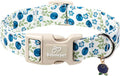 Spring/Summer Dog Collar for Medium Dogs by Babolepet