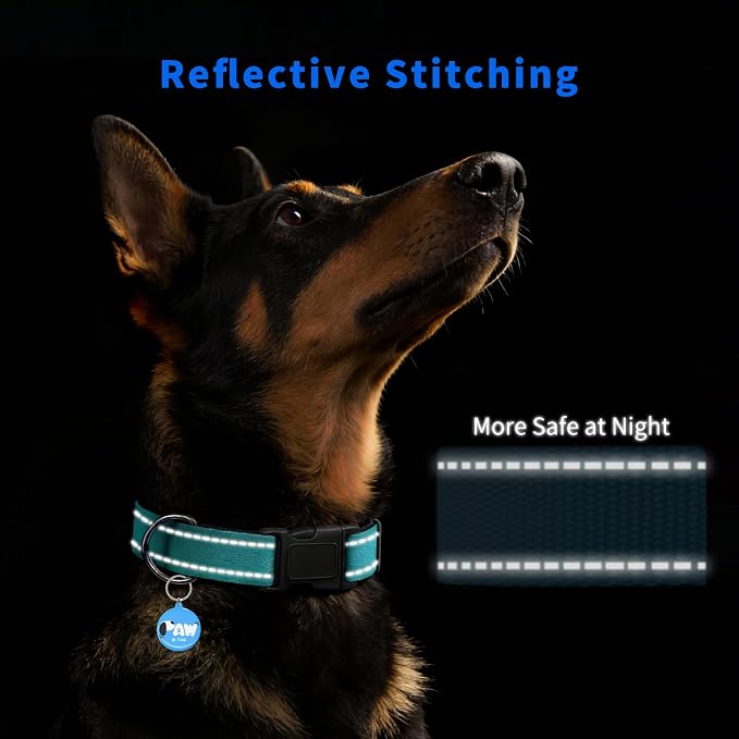 Reflective Dog Collar for Medium Dogs - Image 3