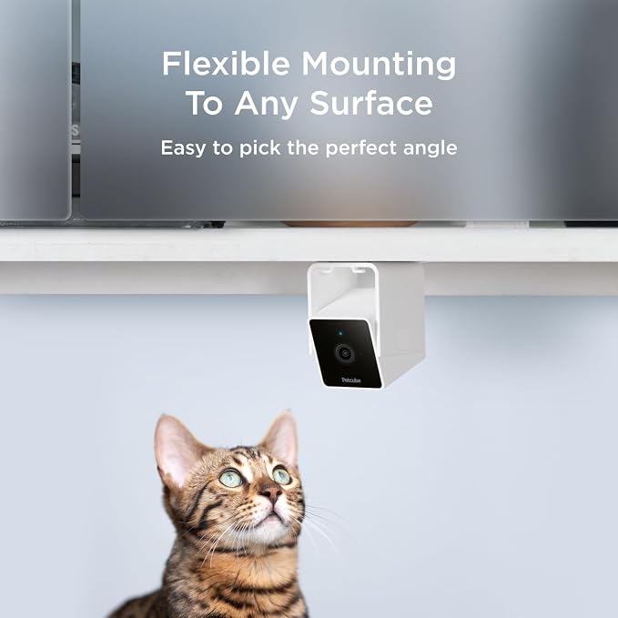 Petcube Cam The Pack of 3 | Indoor Wi-Fi Pet Security Camera - Image 6