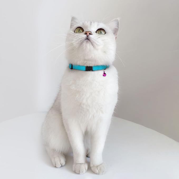 Breakaway Cat Collar Leather - Image 6