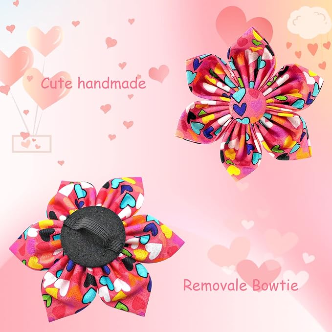 Lionheart glory Easter Dog Collar - Image 3