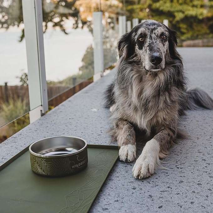 Wilderdog Silicone Pet Placemat Made - Image 7