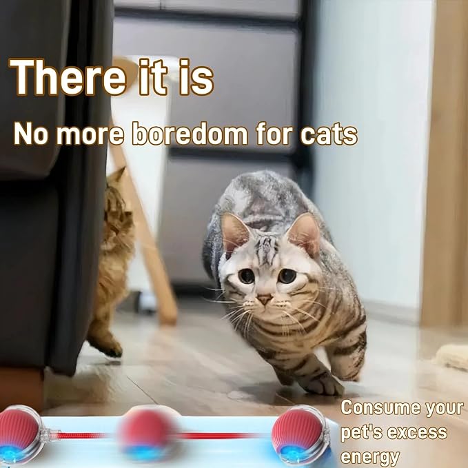Interactive Cat Toys for Indoor Cats, Agility Move Cat Balls, Motion Activated - Image 7