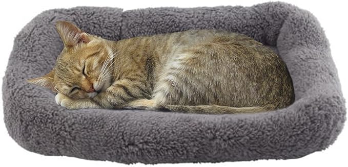 Cat Bed Washable Indoor Cat Cushion Bed, Soft and Cozy Plush Pet Bed-S by BillionChains