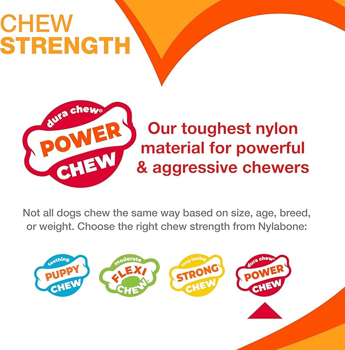 Nylabone Textured Dental Bone Power Chew Toy - Image 5