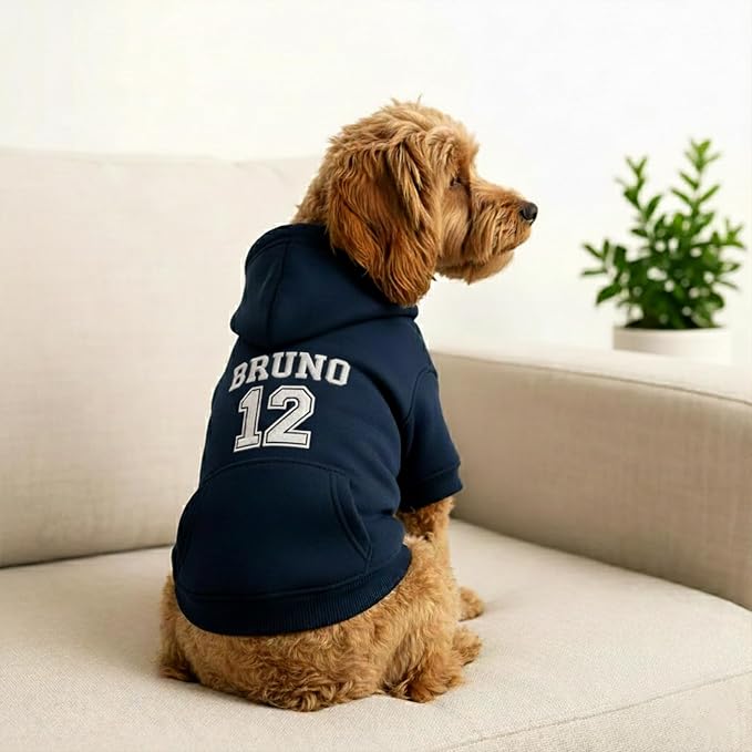 Personalized Dog Hoodie, Custom Embroidered Name Pet Hoodie, Warm Winter Outfit - Image 2