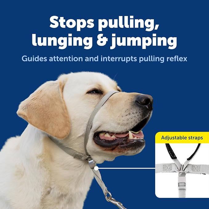 PetSafe Gentle Leader Headcollar No-Pull Dog Collar - Image 3