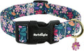 Dog Collar for Large Dogs, Spring Dark Green Dog Collars by Unknown