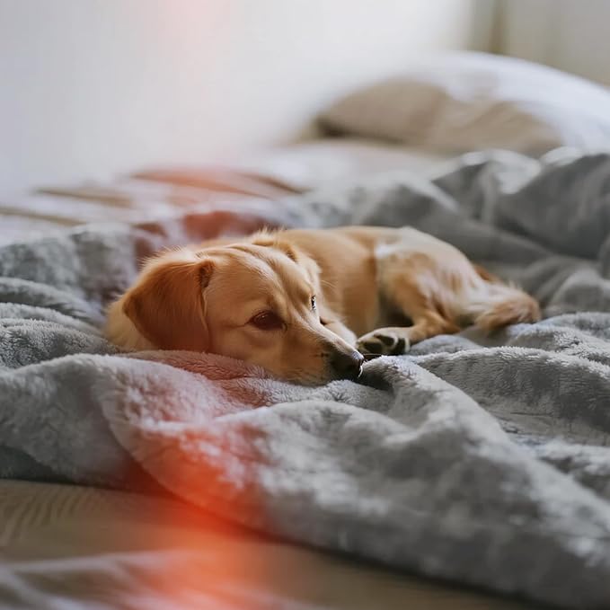 gogobunny Waterproof Bed Blanket, Reversible Sherpa Fleece Throw Blanket - Image 8