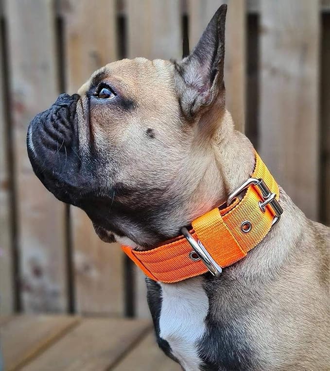 Heavy Duty Tactical Dog Collar - Image 7