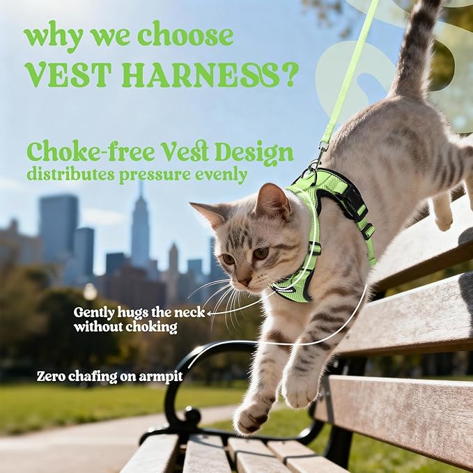 rabbitgoo Cat Harness and Leash - Image 3