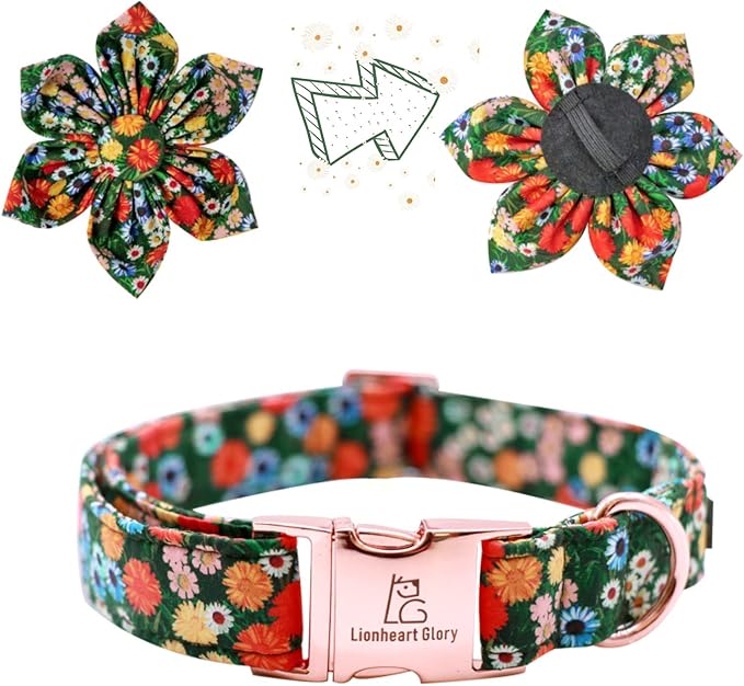 Lionheart Glory Floral Dog Collar - Image 2