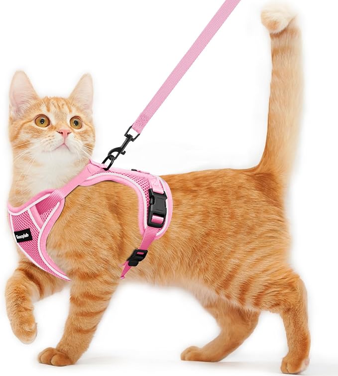 Cat Harness and Leash for Walking Escape Proof Soft Adjustable Cat Leash by Unknown