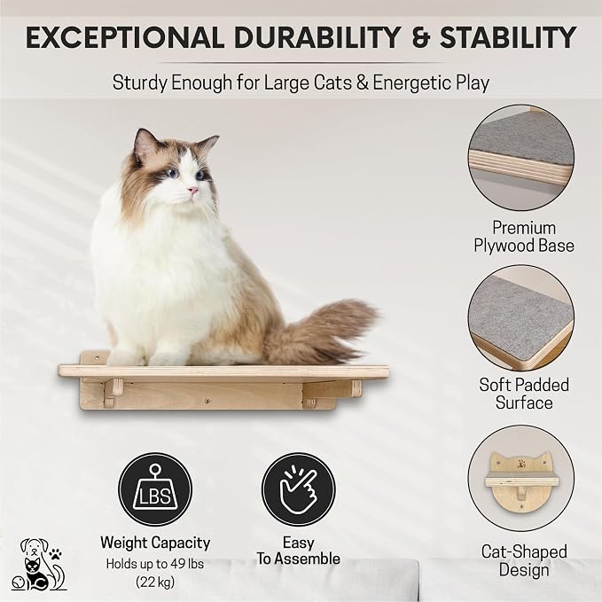 Snuggle & Play Cat Wall Shelves & Climbing System – Modern Furniture Set - Image 4