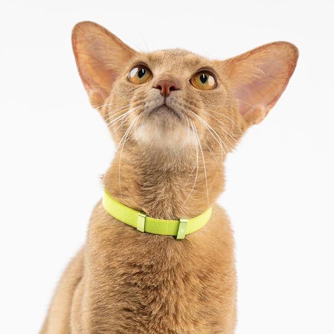Safety Cat Collar - Image 2